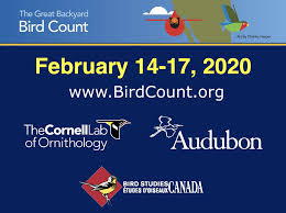 A family owned & operated business since 1953, we offer backyard living is a real gift for those who get it. Great Backyard Bird Count Audubon Corkscrew Swamp Sanctuary