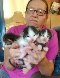 Karen F. Carroll Obituary (2025)