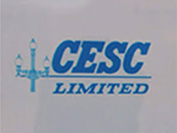Cesc Cesc Enters Power Distribution Business In Rajasthan