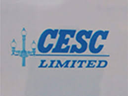 cesc cesc enters power distribution business in rajasthan