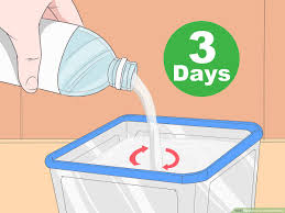 how to use a nasal rinse 13 steps