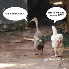 Pin Di Gambar Kata Kata