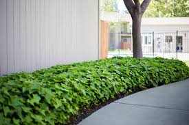 Find senior care providers and options in vacaville, ca near you on care.com. Home Sea Of Green Lawn Services