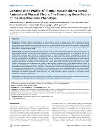Pleura basicmedical key / in health the two pleurae are in contact. Pdf Genome Wide Profile Of Pleural Mesothelioma Versus Parietal And Visceral Pleura The Emerging Gene Portrait Of The Mesothelioma Phenotype