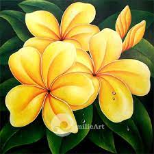 [lengkap} menyajikan aneka gambar bunga mawar (rose) cantik, indah + klasifikasi bunga mawar berdasarkan kelas gambar bunga mawar (rose) cantik beserta klasifikasi & jenisnya lengkap. Bunga Jepun Bali Lukisan Bunga Seni Bunga Menggambar Bunga