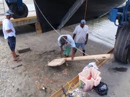 Adventures in Antigua