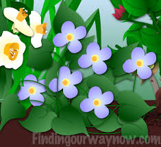 By giving your friend these flowers, you are indicating that you feel that your friendship shares those characteristics. What Friends And Flowers Have In Common Story Finding Our Way Now