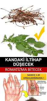 Sinir Sikismasi Iltihapli Romatizma Tedavisi Saglik Sifa Bitki Tarif Kur Herbal Medicine Herbalism Diet And Nutrition