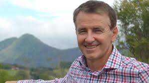 ALP swing but Hanson decisive