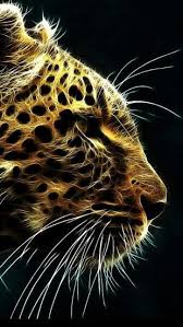 Jaguar The Iphone Wallpapers Cheetah Print Wallpaper Color Splash Photography Animals