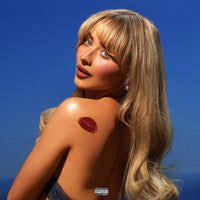 Foo Fighters: Skin and Bones