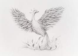 Camel toe occurs when your clothing creates a sort of cleavage around your genit. How To Draw A Phoenix With Water Soluble Graphite Pencils