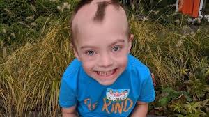 Fundraiser for Christopher Check by Brian Check : Ryder's Christmas Wish