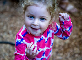 PHOTOS: A look in at Curious Kids Childcare in Hudson