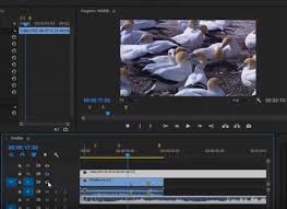 Maybe you would like to learn more about one of these? Soal Tentang Adobe Premiere Beserta Jawabannya