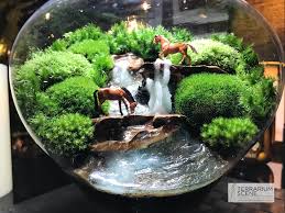 Pin By Owie Thacher On Succulents Garden Terrarium Beautiful Terrariums Terrarium