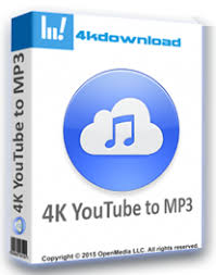 Pin On 4k Youtube To Mp3 Crack V3 6 0 2084 Activation License Key Online Safe