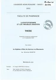 Http Docnum Univ Lorraine Fr Public Scdpha T 2001 Martin Severine Pdf