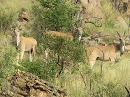 Maybe you would like to learn more about one of these? Hoogland Health Hydro Pretoria South Africa Contact Phone Address