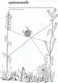 Maak Het Web Af School M V Tekenen Halloween Autumn En Kids Art Class