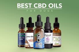 Review the science behind this natural pain relief option with virtually no side effects. Best Cbd Oil For Dogs Top 5 Brands Buyer S Guide Discover Magazine