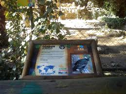 El turismo de negocios es una de las áreas del turismo que crece a mayor velocidad. Zoologico De Quilpue Contara Con Nueva Senaletica La Opinion Online