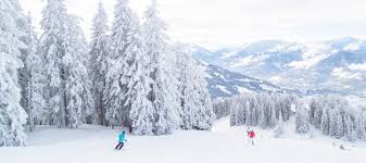 Alpine skiing is a very popular form of recreation in many countries. Tis The Ski Season Common Injuries And Prevention For Your Upcoming Ski Trip Austin Sports Medicine