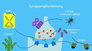 Synapsengifte Wirkungen Und Beispiele Mit Video