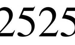 Significado Do Numero 3232 Numerologia Tres Mil Duzentos E Trinta E Dois Proveitoso