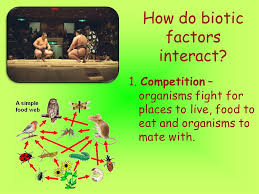 The living or once living parts of an ecosystem, including dead or decaying organisms. Species Interactions Niche Nitch A Species Role In Its Ecosystem Ex Spiders Eat Many Smaller Insects Bees Help To Pollinate Flowers No Two Species Ppt Download