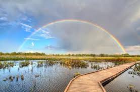 Well i've read the reviews and i have to differ with them. Midland Texas Best Kept Secrets Stanley Rv Park In Midland Tx