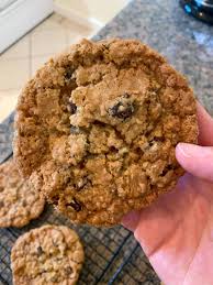 Crispy Oatmeal Raisin Cookies How To Make Dinner Recipe In 2020 Raisin Cookies Cookie Recipes Oatmeal Raisin Oatmeal Raisin
