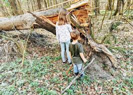 Gemeinsam mit unseren kinderbetreuern geht ihr auf tierspurenentdeckungsreise in den. Eine Schatzsuche Im Wald Freebie Zum Ausdrucken Puddingklecks