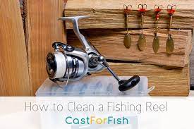 How To Clean A Fishing Reel The Right Way For Cleaning Your Reels