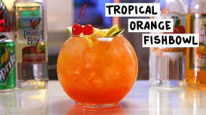 We did not find results for: Tropical Orange Fishbowl Youtube
