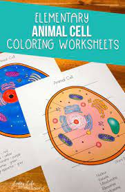 Check spelling or type a new query. Animal Cell Coloring Worksheet Cells Worksheet Color Worksheets Animal Cell
