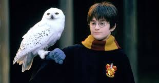 Learn how to apparate just like a wizard! Harry Potter Movies To Stream Online At Peacock