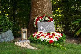 Bislang habe ich meine verstorbenen vögel immer im eigenen garten begraben. Unser Blog Zum Thema Tierbestattung Im Garten Himmelspfote