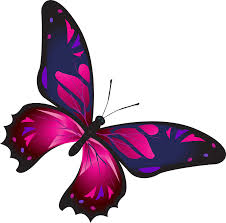 Discover 327 free pink butterfly png images with transparent backgrounds. Pink Butterfly Clipart Free Download Transparent Png Creazilla
