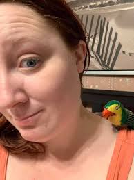 Wooden parrot shoulder clip from a pirate's collection