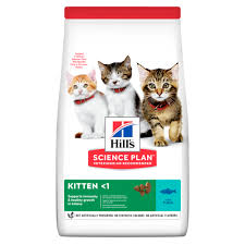 Kedilerde Gebelik Hill S Pet