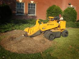 Allgreen lawn tree and shrub care offers lawn and tree protection and maintenance. All Green Landscape Lawn And Tree Services In The Lowcountry