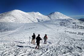 Image result for Hakkoda Walk