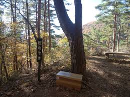 三ツ峠山 股のぞき