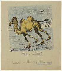 In an attempt to save herself, the woman bit the camel's testicles. Tweet The Ny Public Library An Emoji And It Ll Tweet Back A Pic From Its Archives Book Illustration Art Ice Skating Anthropomorphic