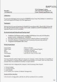 Resume Format 8 Year Experience Experience Format Resume Resumeformat Sample Resume Templates Best Essay Writing Service Resume Format