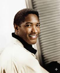 Sam Cooke Nothing Can Change This Love