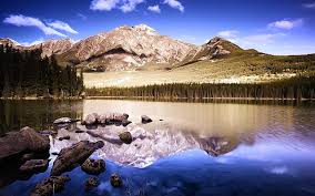 Gray Mountain Lake Mountains Bottom Wood Mirror Reflection Hd Wallpaper Wallpaperbetter