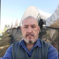 90+ "Marco Ugalde" profiles