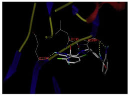 Image result for Equilabium petiolare